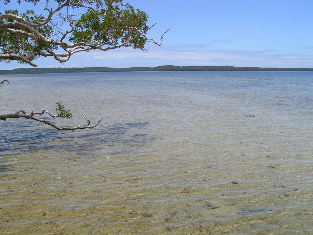 Lake Weyba