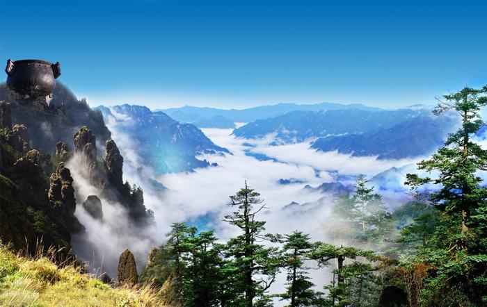 tree, mountain, hubei