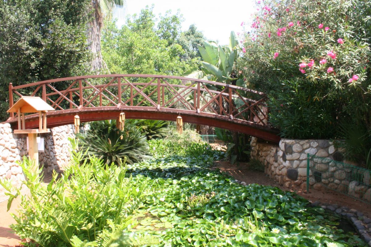 10 Popular Things To Do In Tel Aviv TouristSecrets