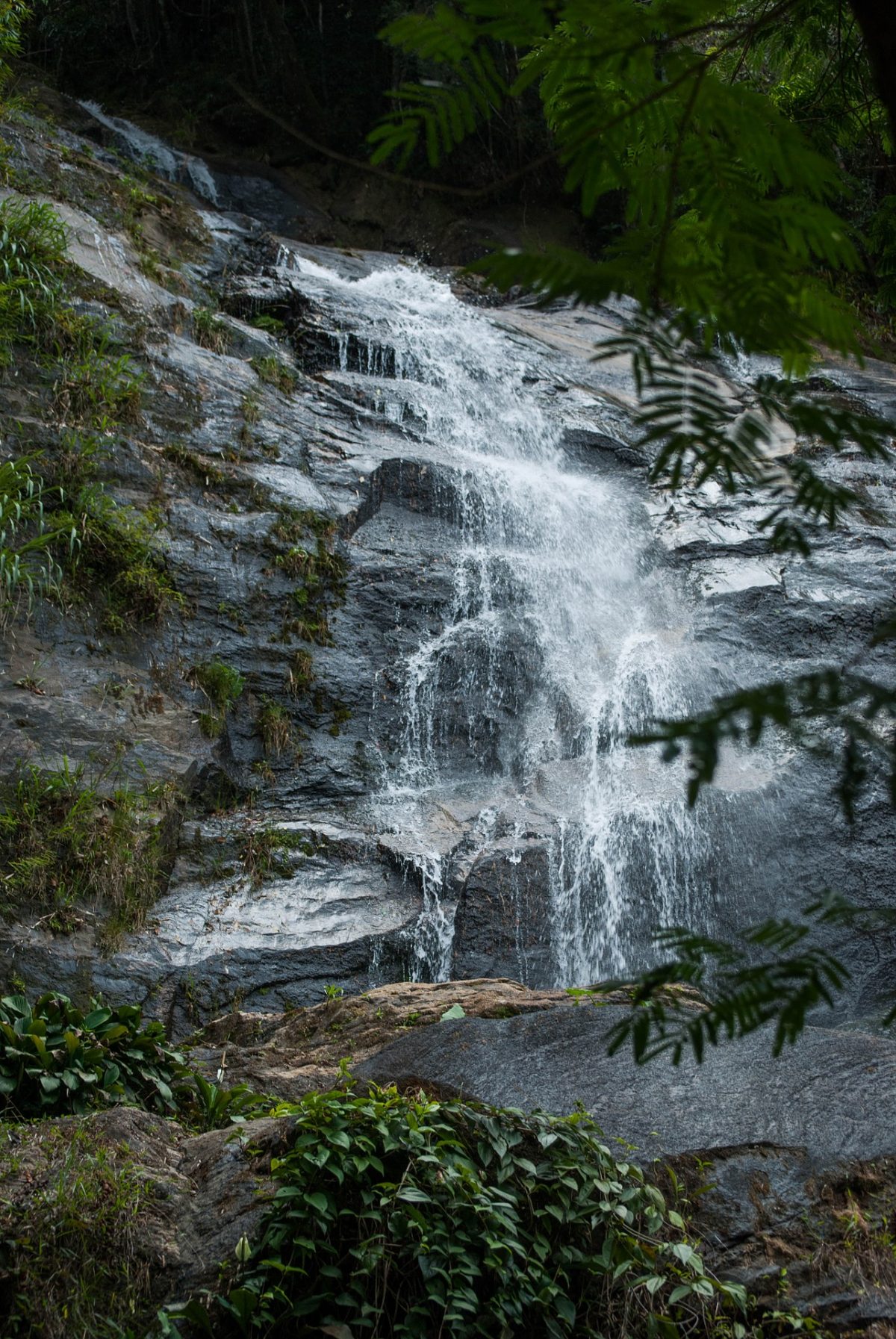 Tijuca is a tropical rainforest located within the city of Rio de Janeiro. It is considered the world’s largest urban forest, covering some 39 km² of land. 