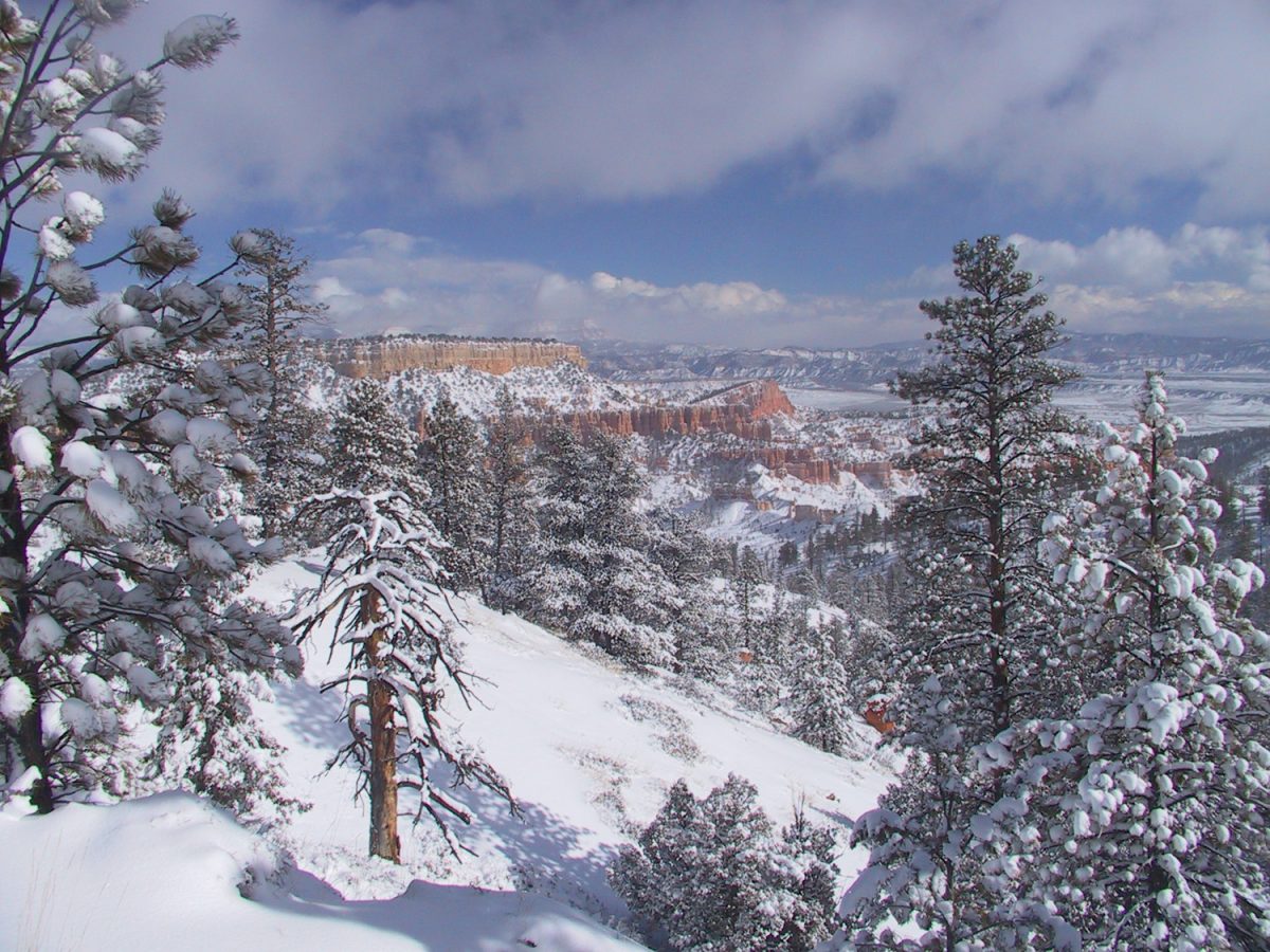 Winter_storm_at_Bryce_Canyon Utah Skiing