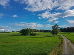 fields Akershus Norway 300x225 - Scenes From The Flåm Railway, Norway
