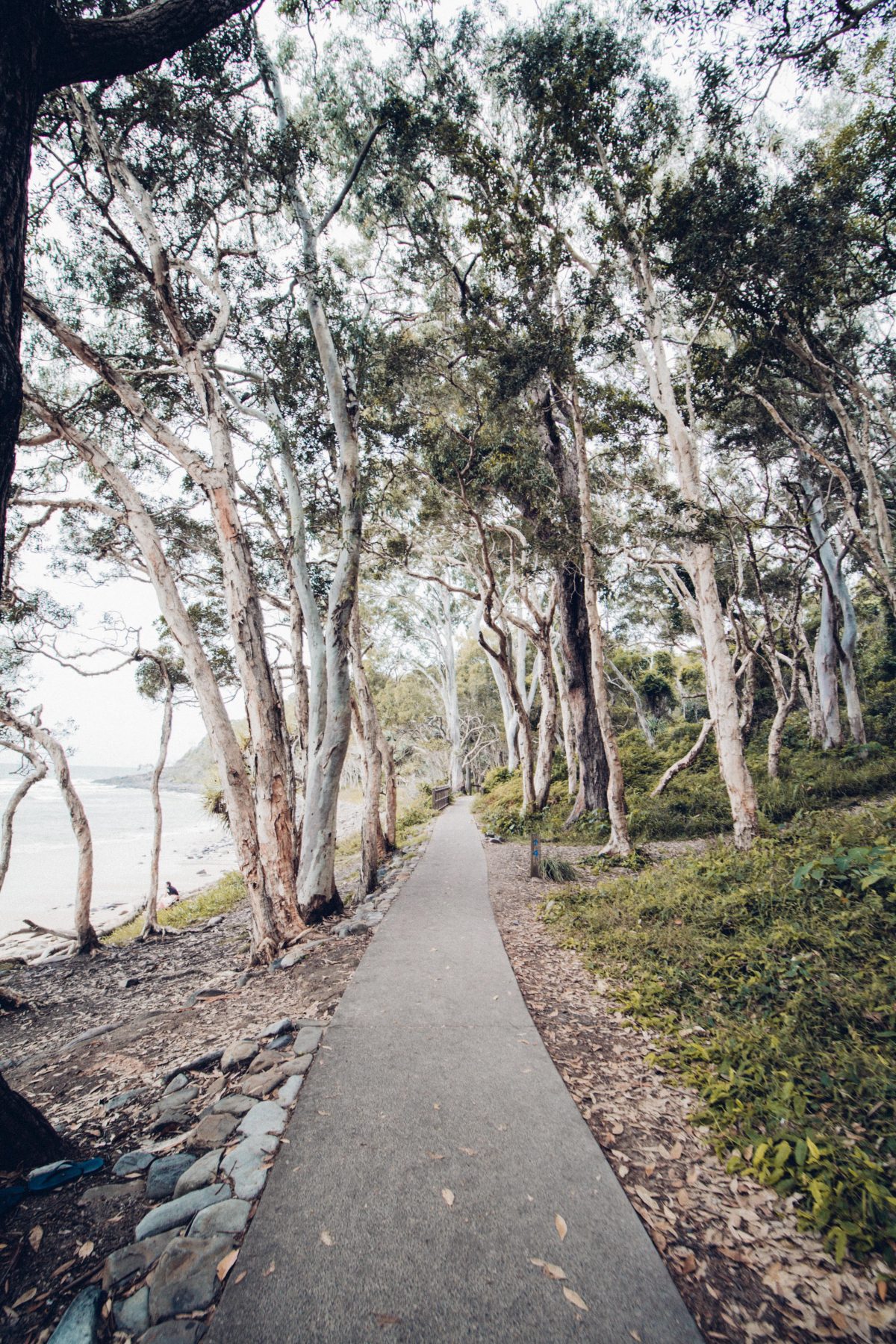 hiking trails, Noosa National Park