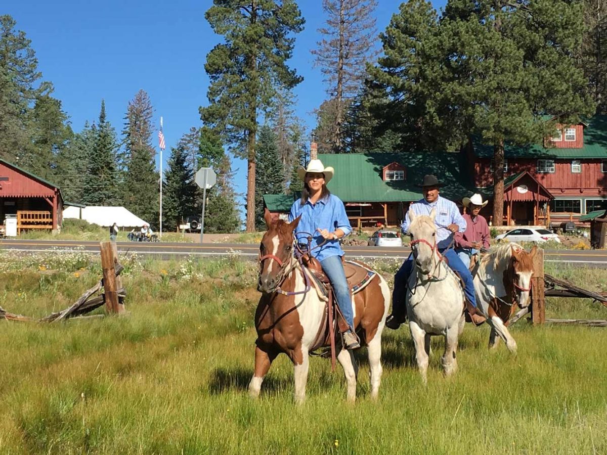 The BEST Things You Ever Want To Do In Eagar, Arizona TouristSecrets