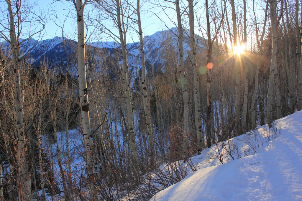 Glide Down To The Best Utah Ski Resorts utah4 1024x683 - Glide Down To The Best Utah Ski Resorts