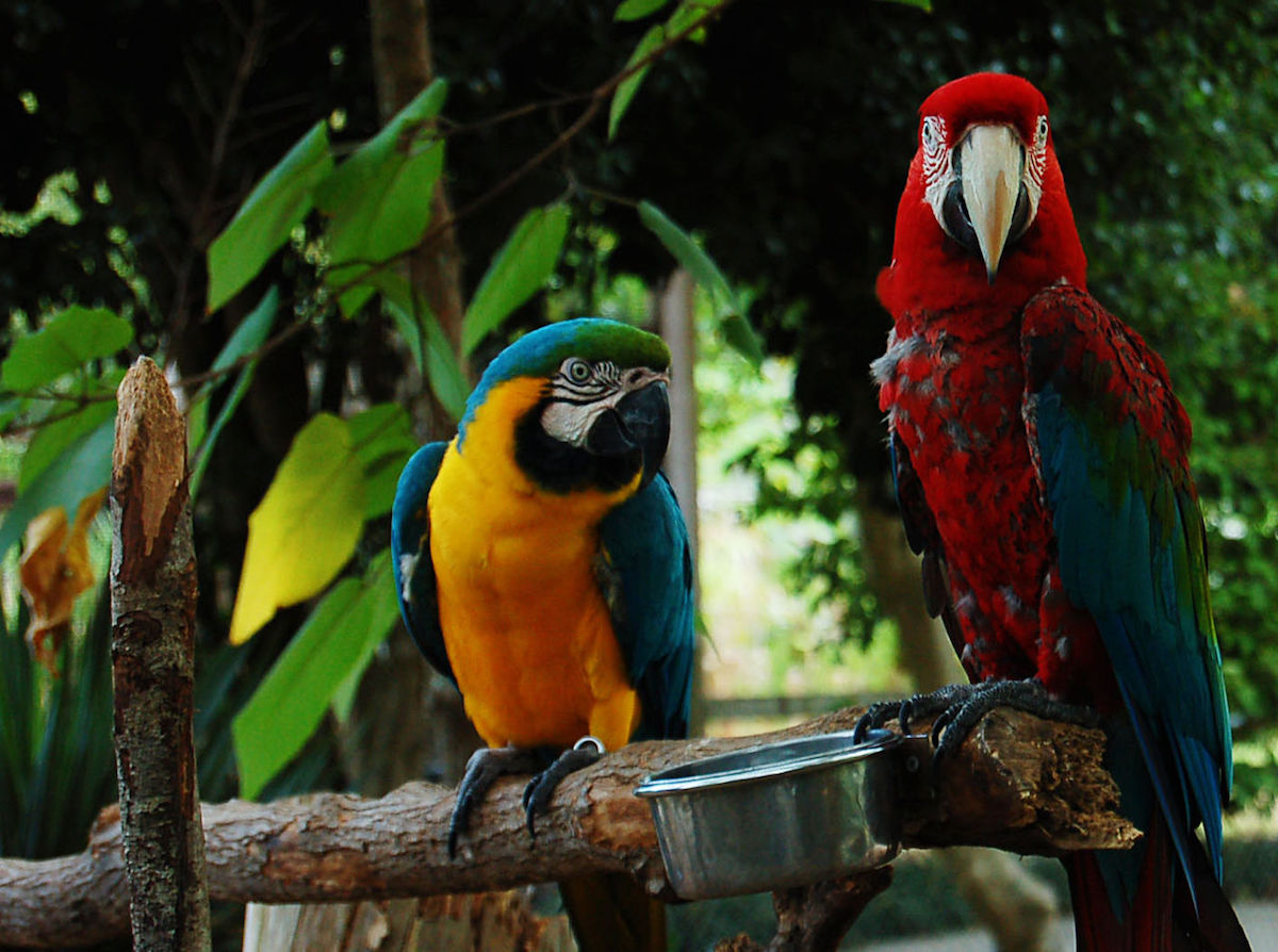 Gulf Breeze Zoo, Navarre, Florida Gulf Breeze Zoo, Navarre, Florida