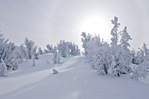 Lake Tahoe Winter Wonderland