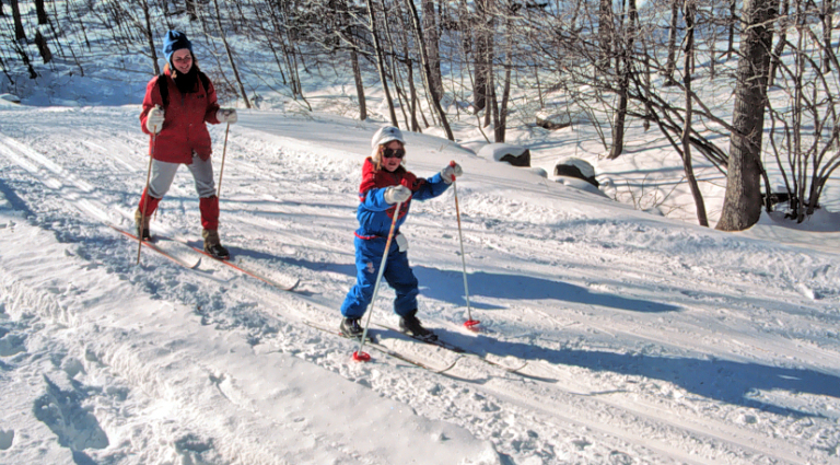 Snow shoeing in the alpine forest 