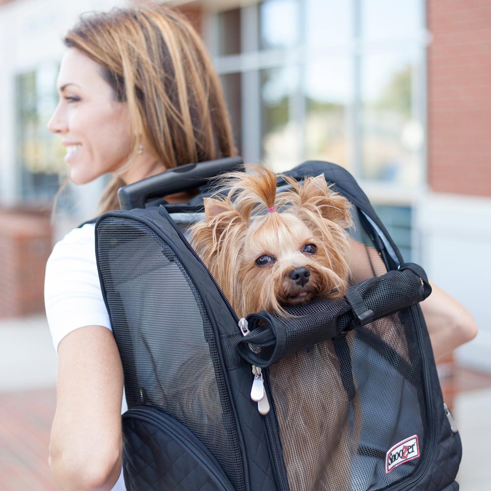 Photo of a black Roll Around Travel 4-in-1 carried by a brown-haired Caucasian woman with a brown Terrier inside the bag peeking out through the top opening with its hair tied up Photo of a black Roll Around Travel 4-in-1 carried by a brown-haired Caucasian woman with a brown Terrier inside the bag peeking out through the top opening with its hair tied up