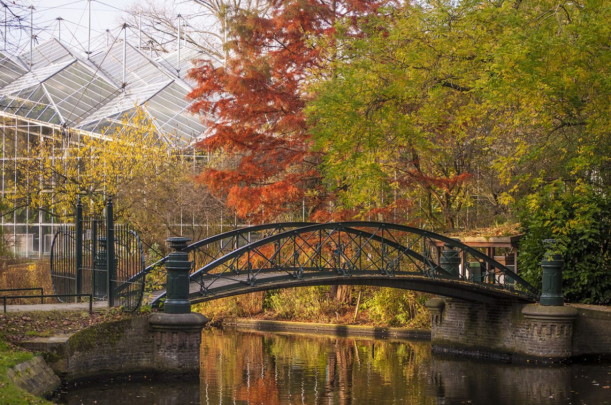 Beautiful view of a bridge, lake and overhanging trees at Hortus Botanicus Beautiful view of a bridge, lake and overhanging trees at Hortus Botanicus