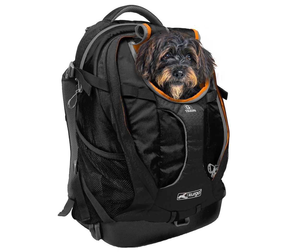 dog carrier 35 lbs