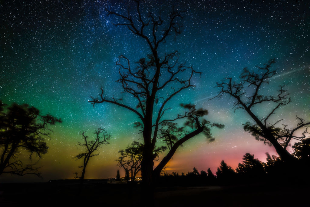 Bare trees cast a silhouette in front of a starry sky with a warm horizon and a touch of the Aurora Borealis.