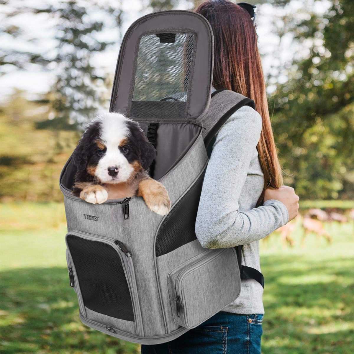 dog with puppy in backpack