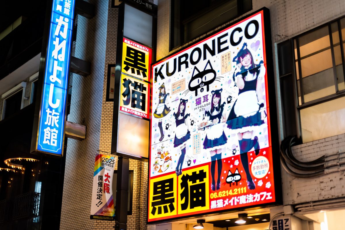 Famous Japanese dark night and illuminated buildings sign for kuroneco black cat maid cafe Famous Japanese dark night and illuminated buildings sign for kuroneco black cat maid cafe