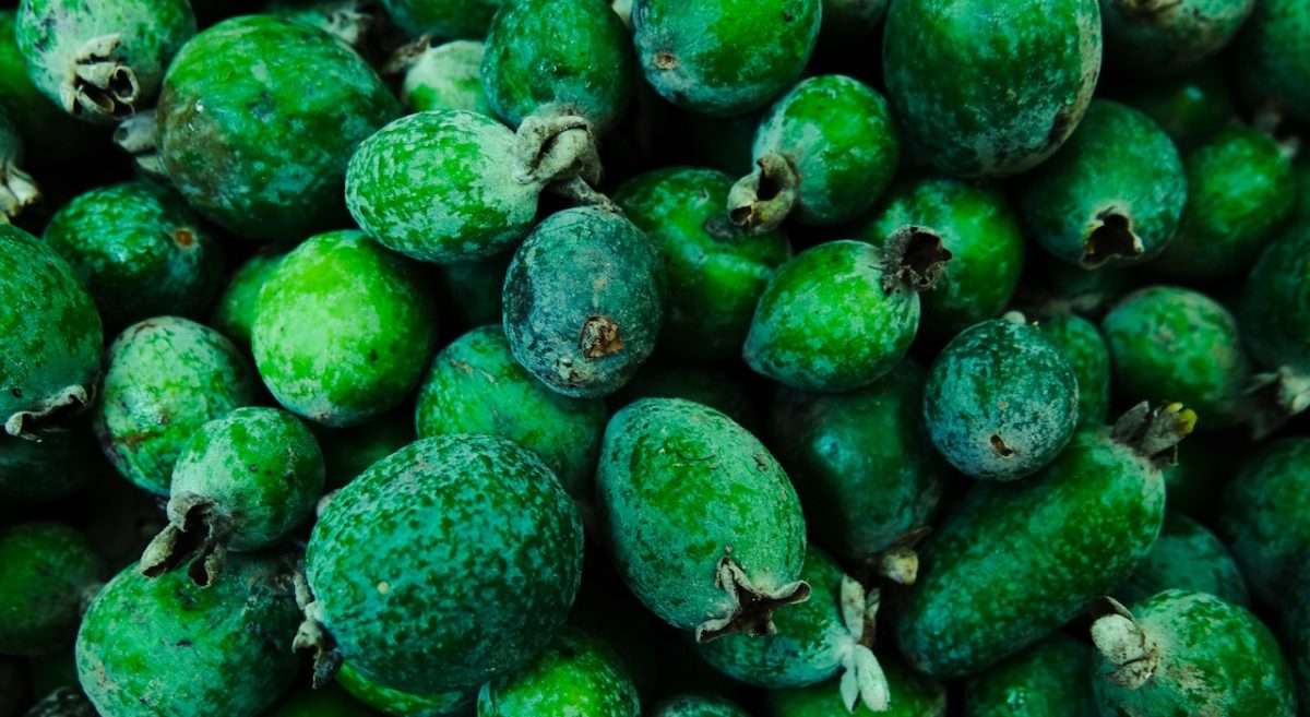 A bunch of Feijoa fruits