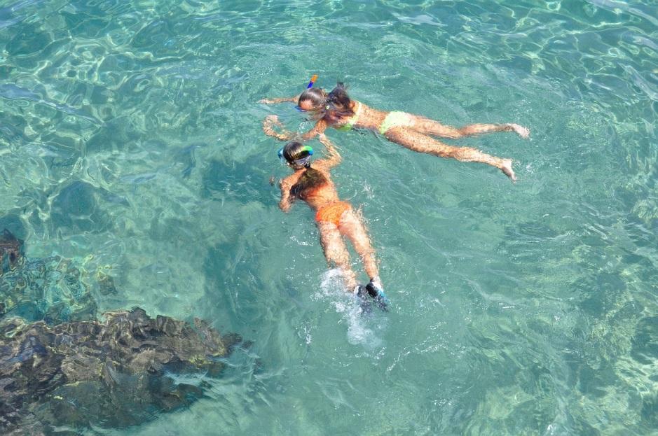 women snorkeling on clear and bright water women snorkeling on clear and bright water