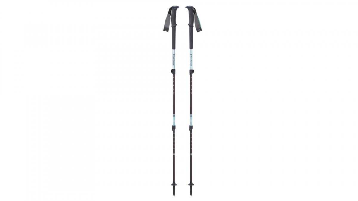 A pair of gray trail trekking poles against white background