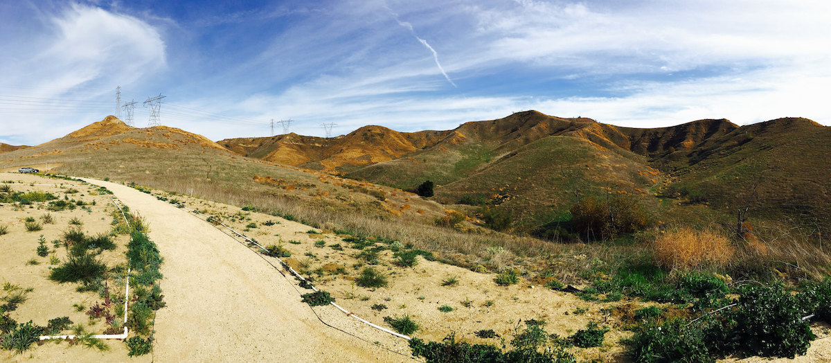 Landscape shot of Chino Hills State Park 