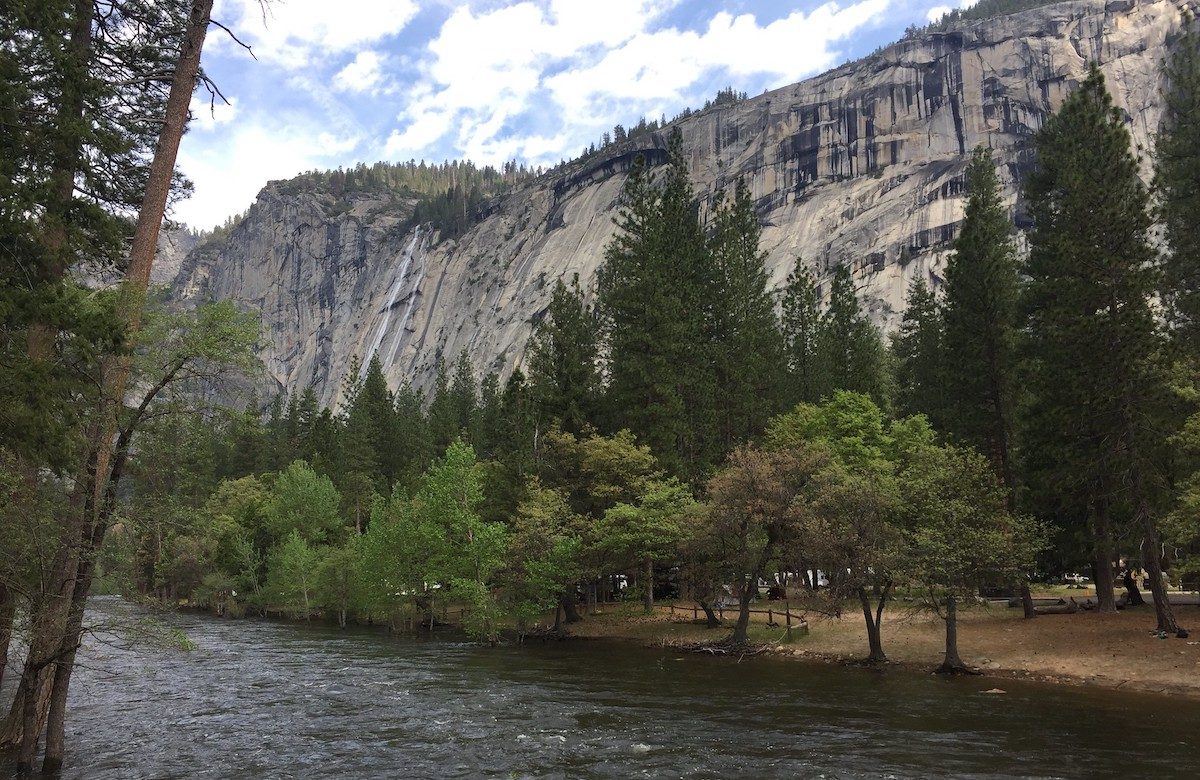 Part of the campground of North Pines near a creek 