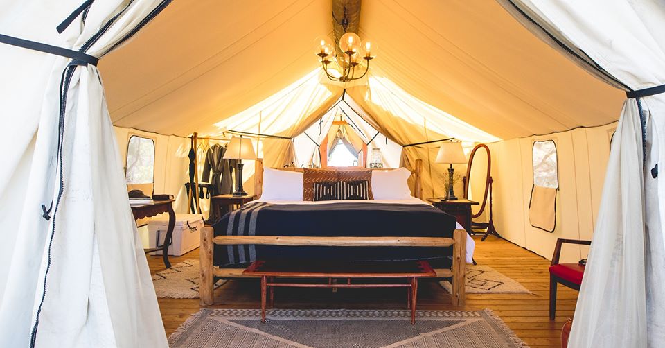 Room golden in sunlight at Collective Retreat's glamping tent