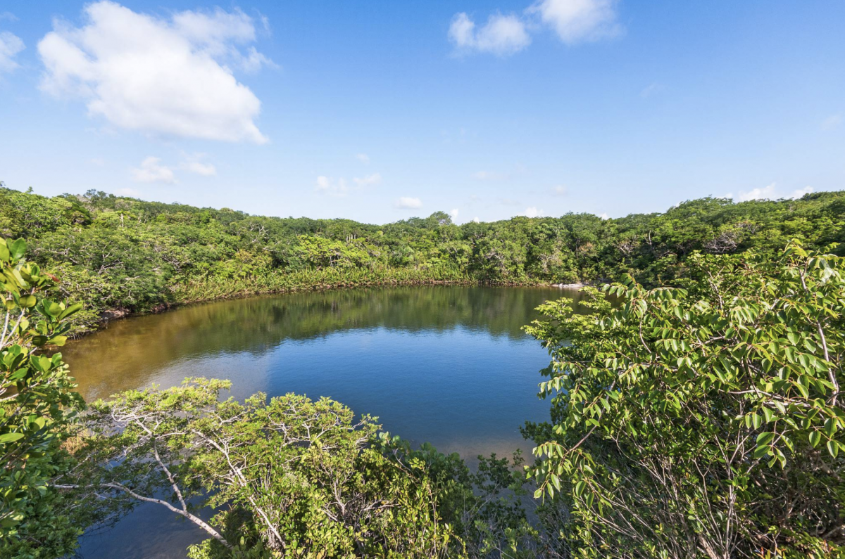 the cottage pond blue hole in turks and caicos islands the cottage pond blue hole in turks and caicos islands
