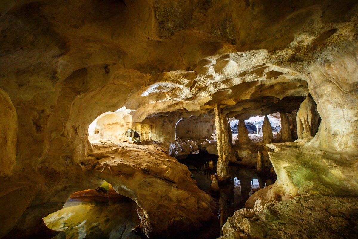 stalagmites at the conch bar caves stalagmites at the conch bar caves