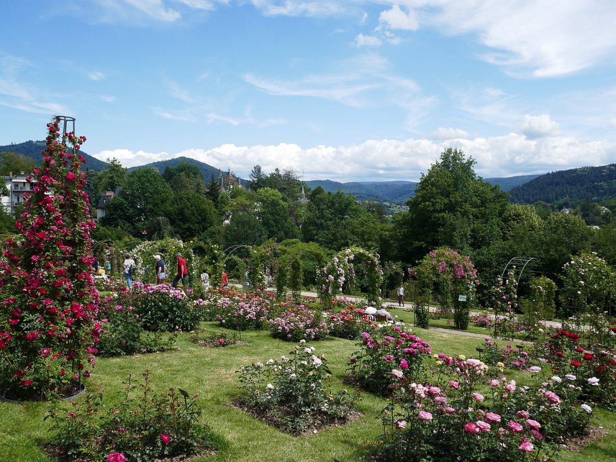 a beautiful garden surrounded by hills
