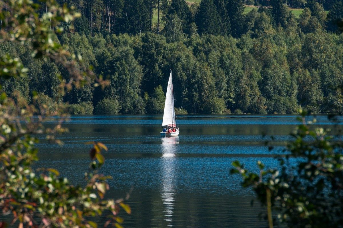A boat wandering in a lake in black forest