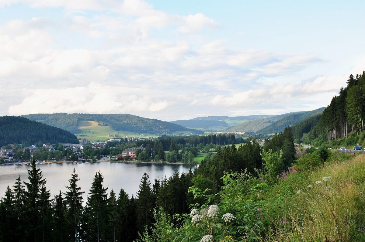 The Titisee Lake surrounded by pine trees, hills, mountains, and resorts