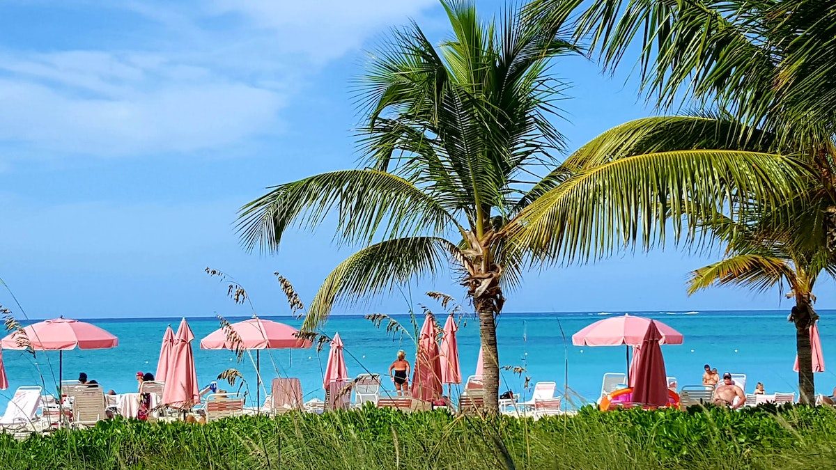 Palm-fringed beach of Provinciales, Turks and Caicos Palm-fringed beach of Provinciales, Turks and Caicos
