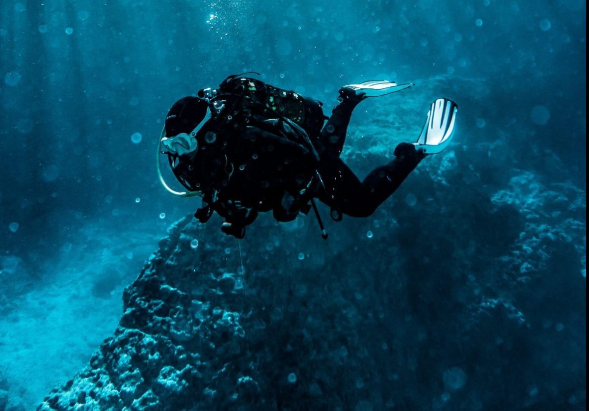 a man scuba diving a man scuba diving