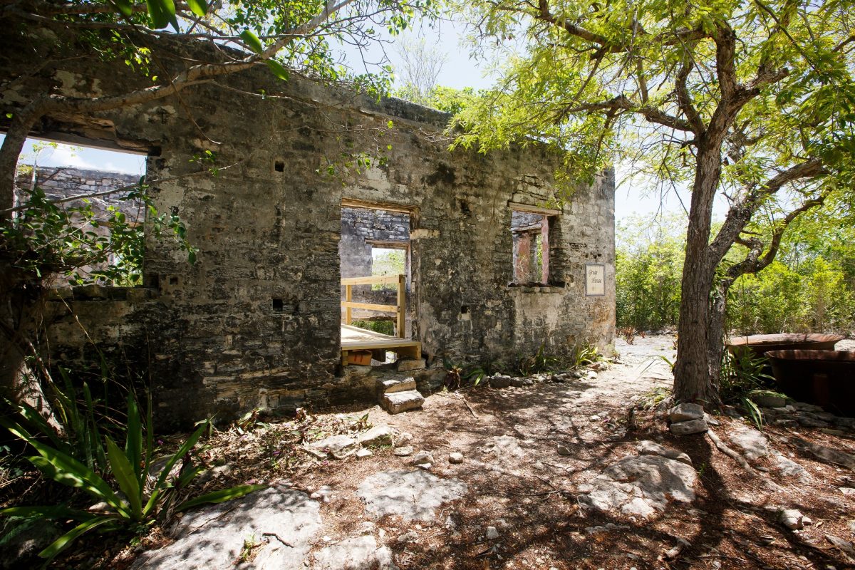 the ruins of wade's green plantation the ruins of wade's green plantation