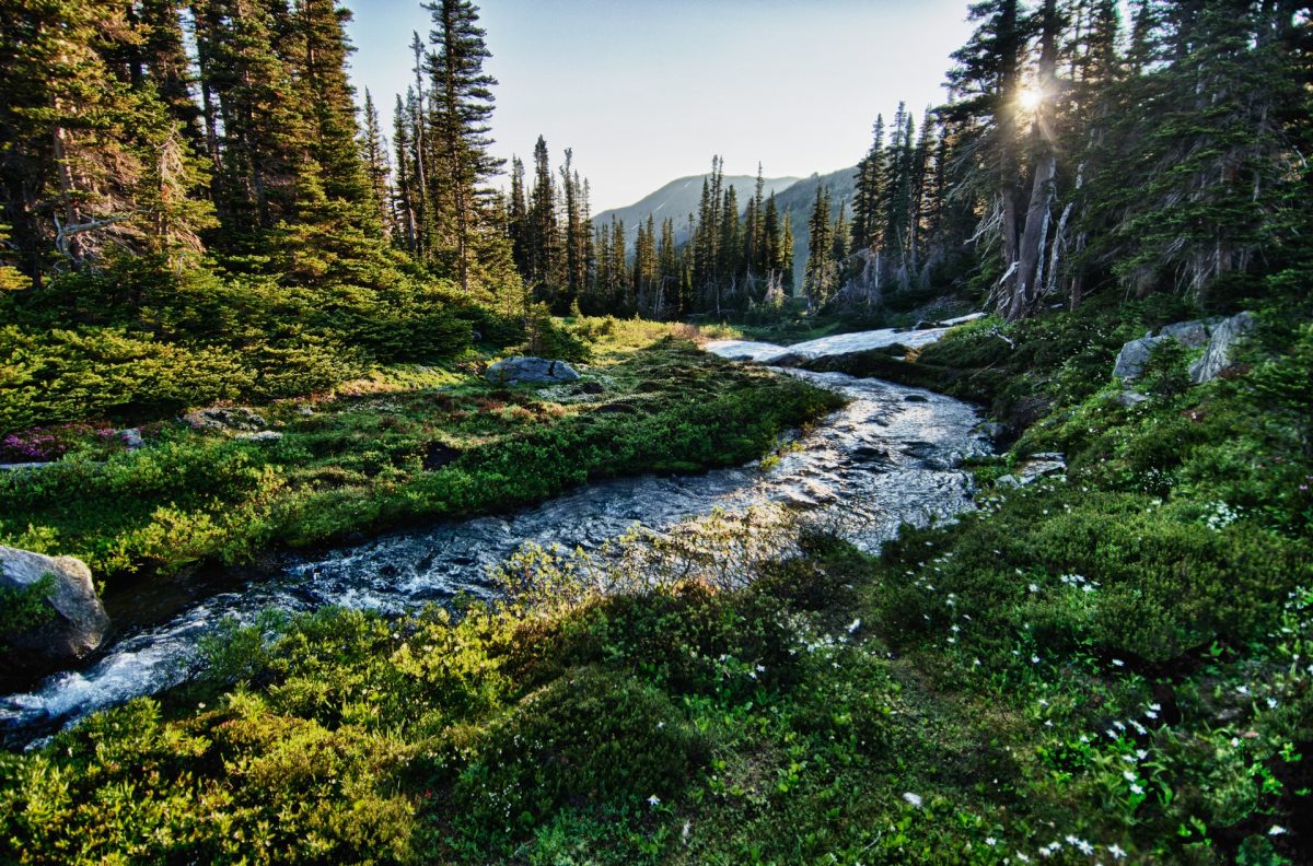 washington state parks to visit