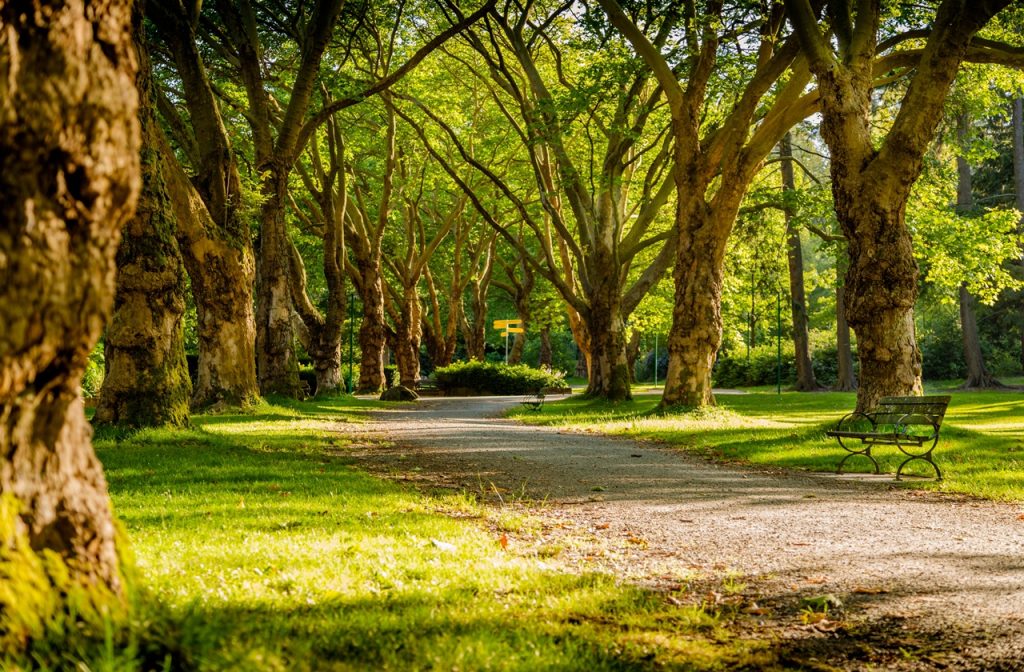 Stanley Park, Vancouver in summer