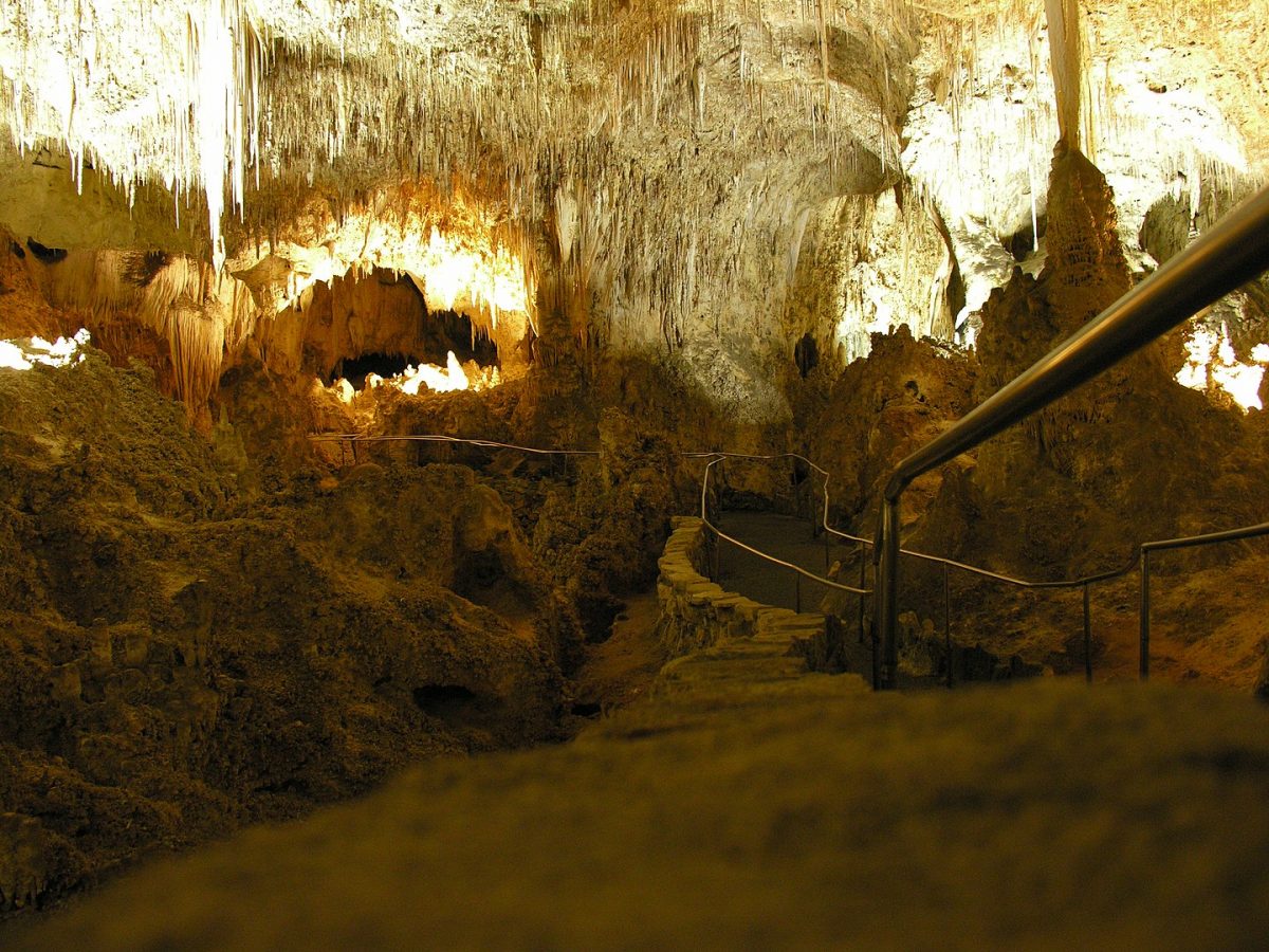 a walkway leading you to the unique caving decorations in carlsbad caverns