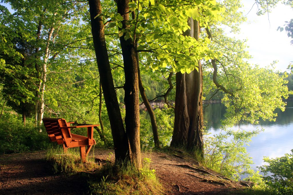 Harrington Beach State Park 1024x683 - 25 Best Car Camping Sites in the U.S.