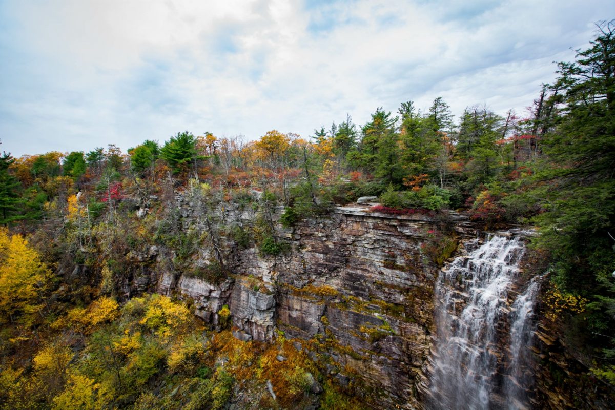 a rugged cliff with falls and countless trees