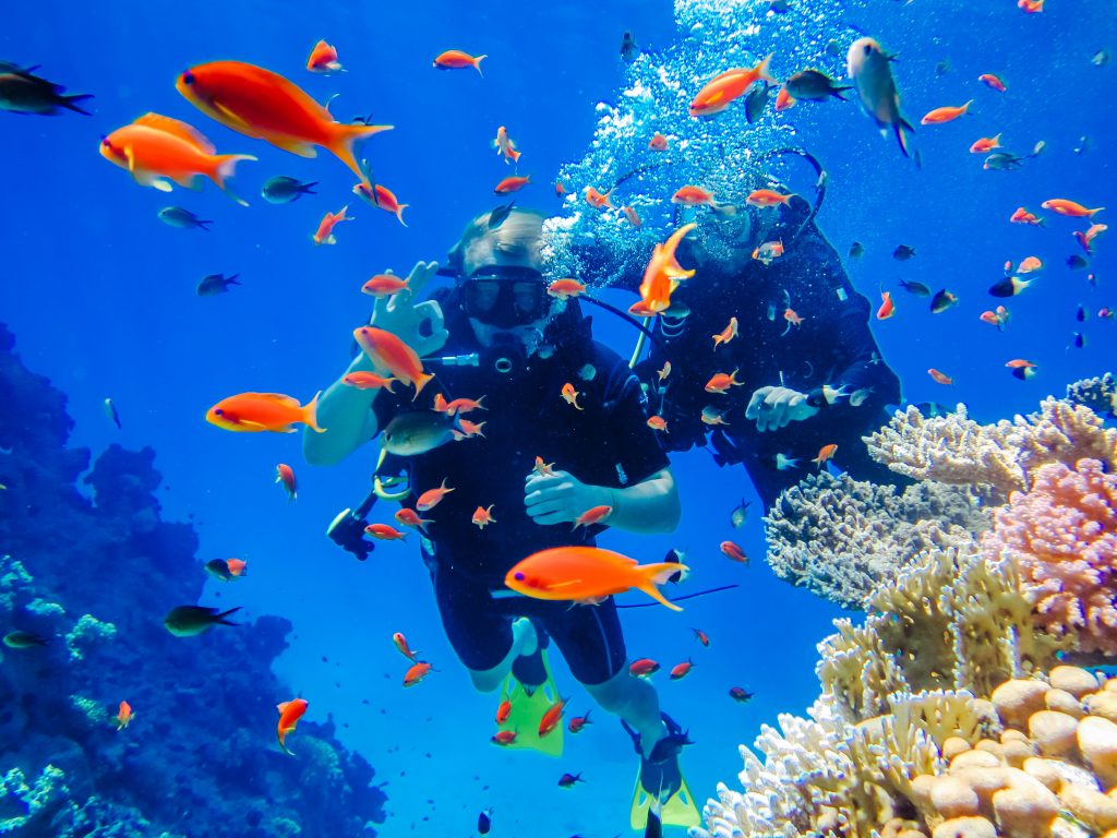 Scuba diving in Perhentian Islands