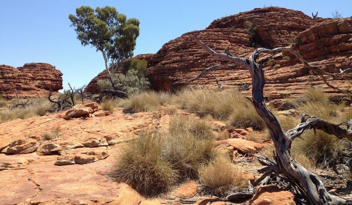 enkemand chance Pygmalion TouristSecrets | 15 Best Things to Do in the Australian Outback |  TouristSecrets