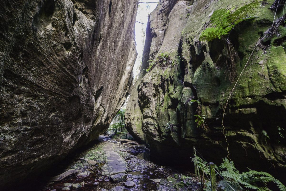 a narrow pathway between enormous gorges in an australian outback