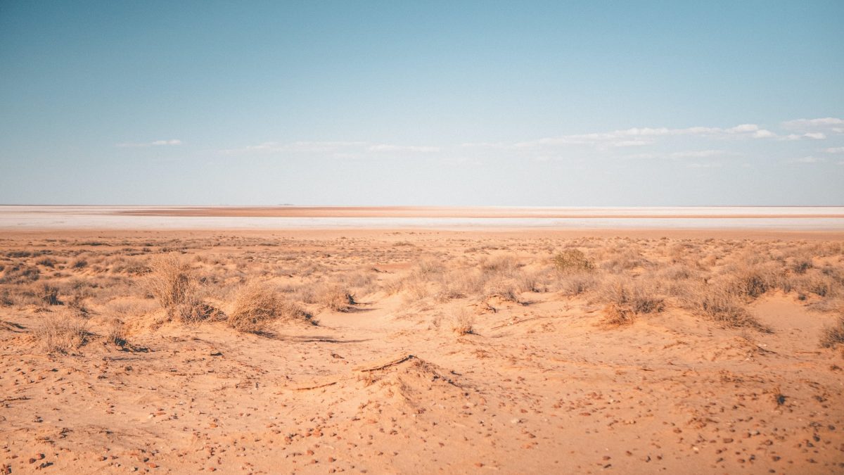 a lake that seems like an oasis in a desert