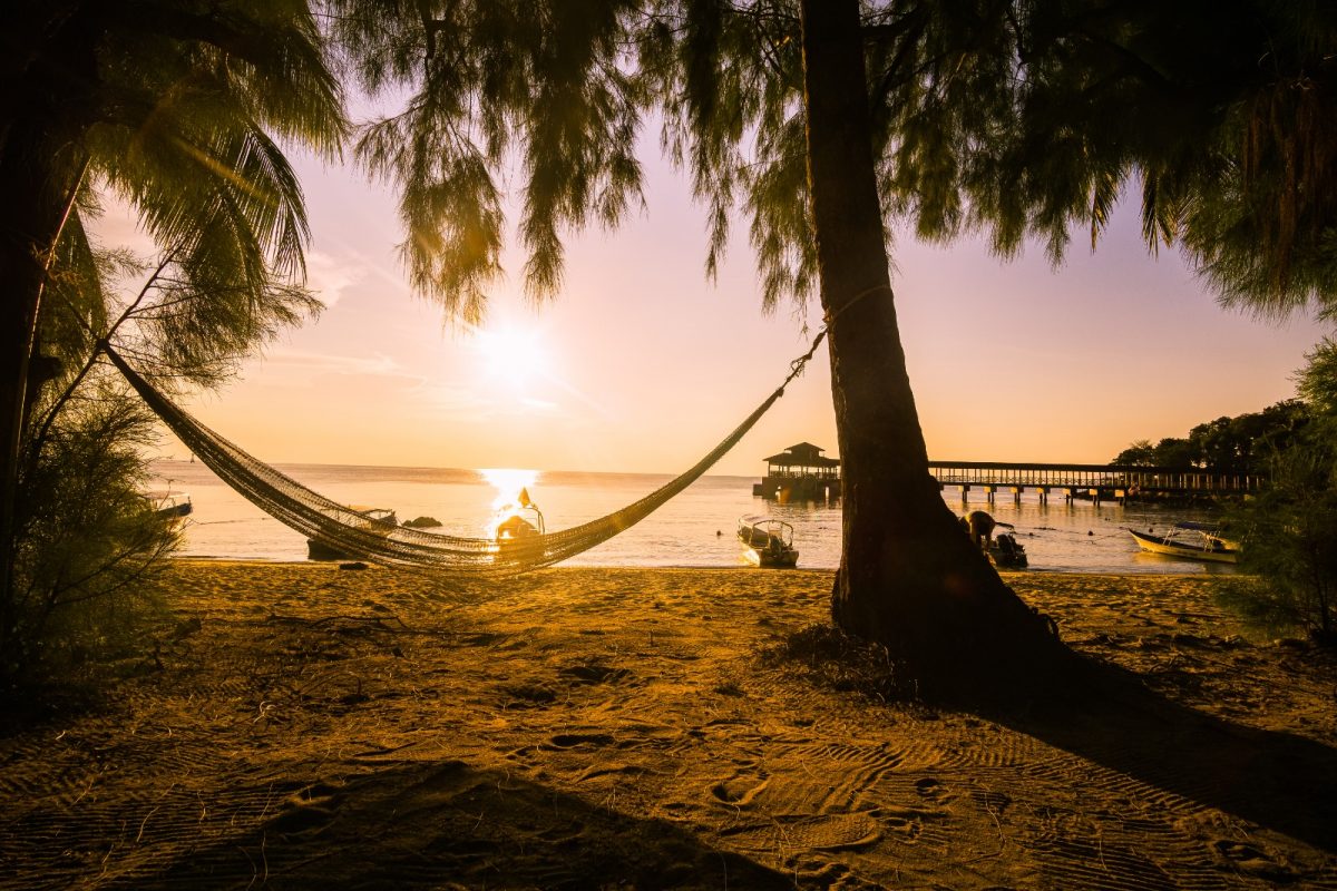 a hammock attached to the trees perfect for viewing sunsets