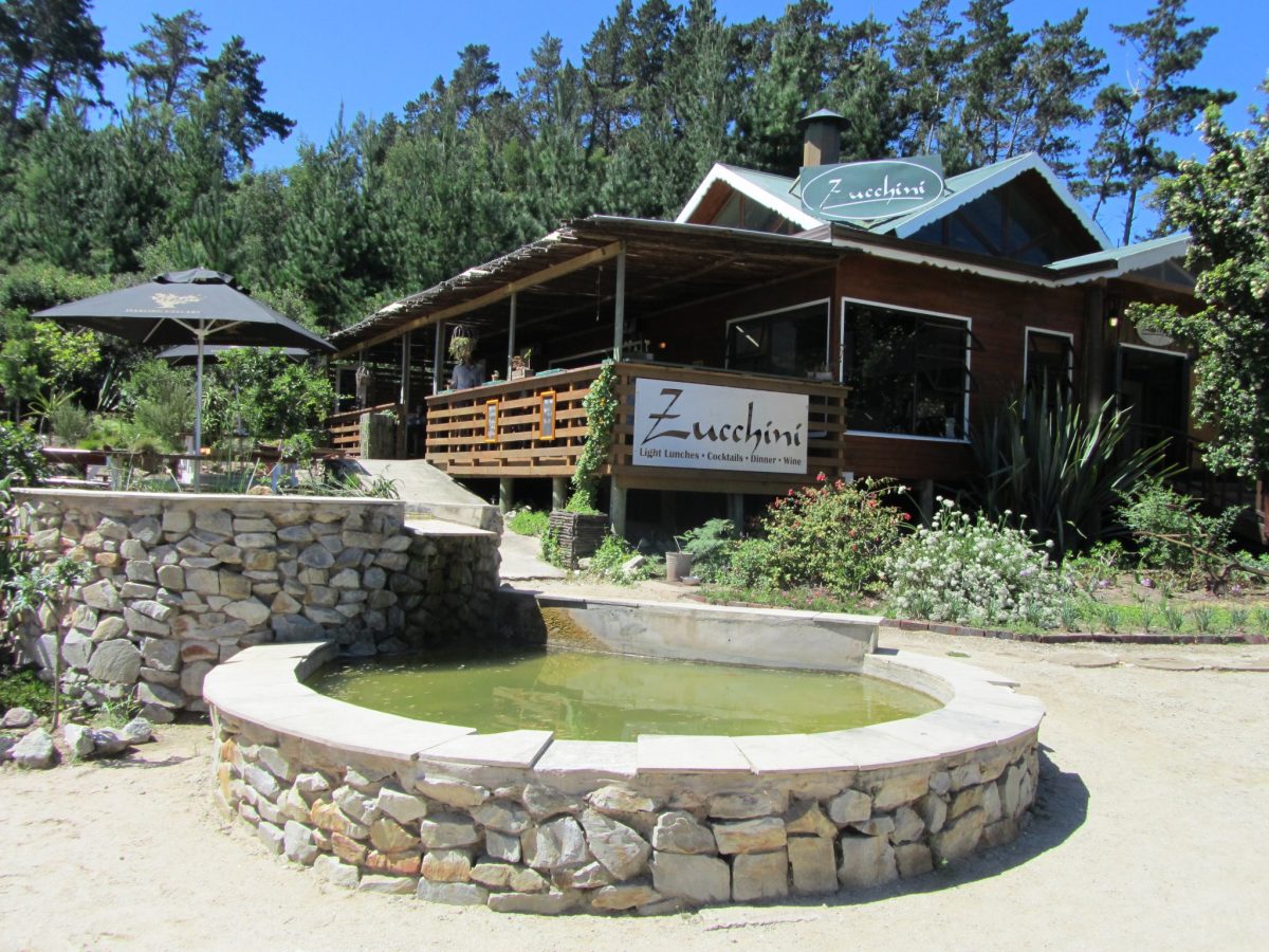 an organic restaurant in a South African village