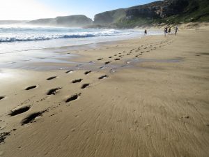 footsteps on the beach