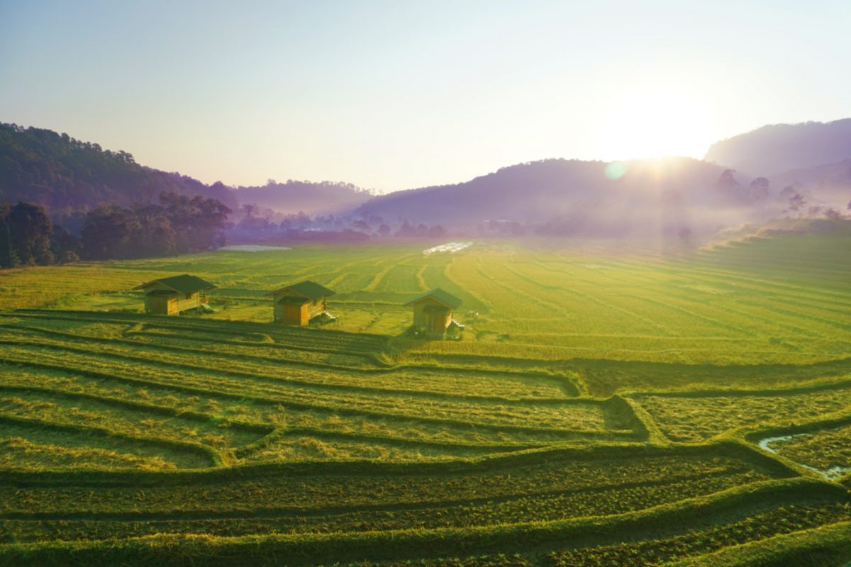a vast verdant field three houses a vast verdant field three houses