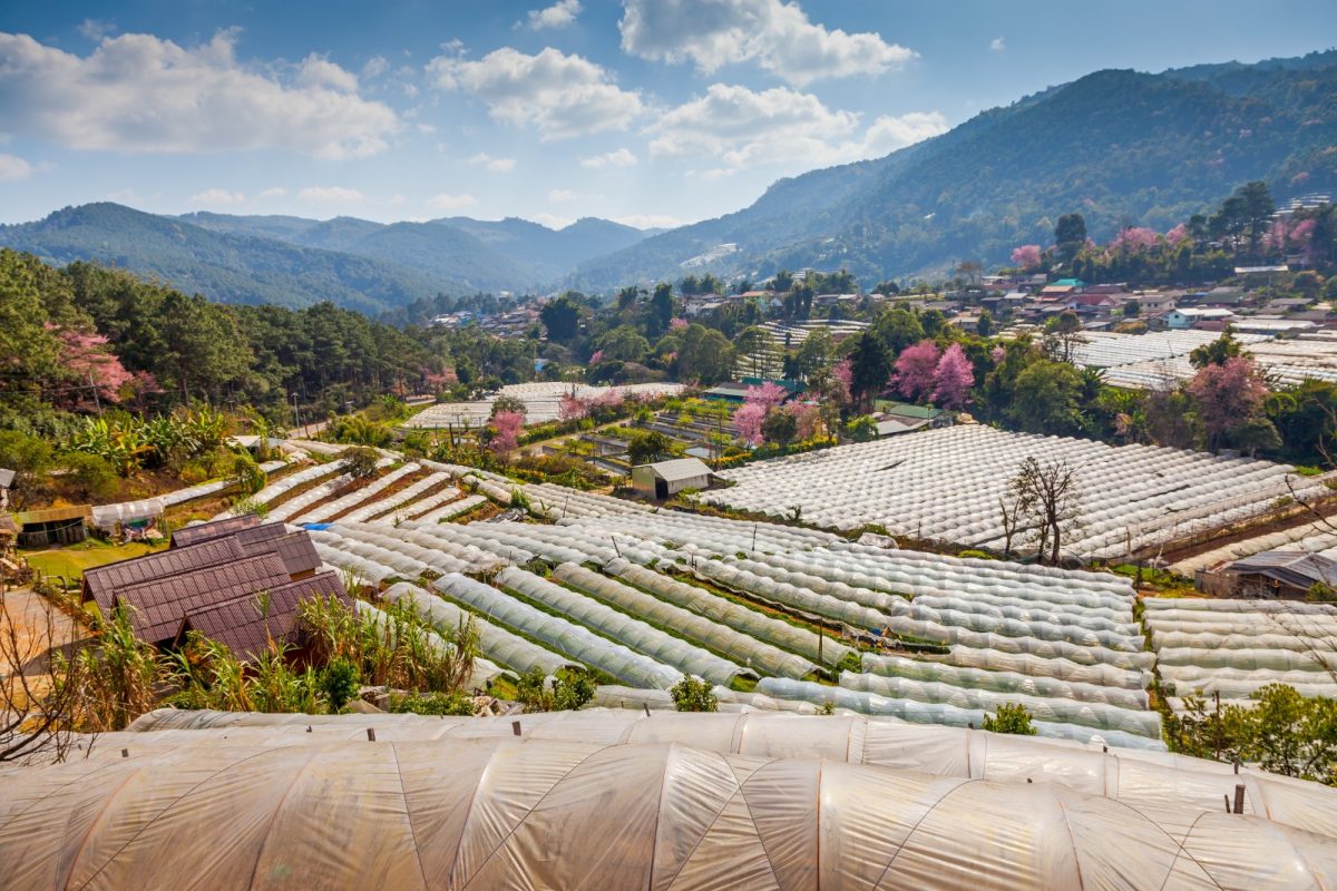 Doi Inthanon National Park: A Day Trip from Chiang Mai Royal Inthanon Project A photo by SANCHAI from Adobe Stock - Doi Inthanon National Park: A Day Trip from Chiang Mai