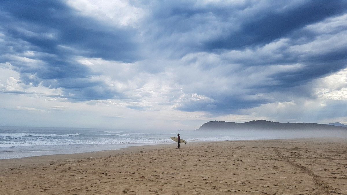 a person about surveying the waters before surfing