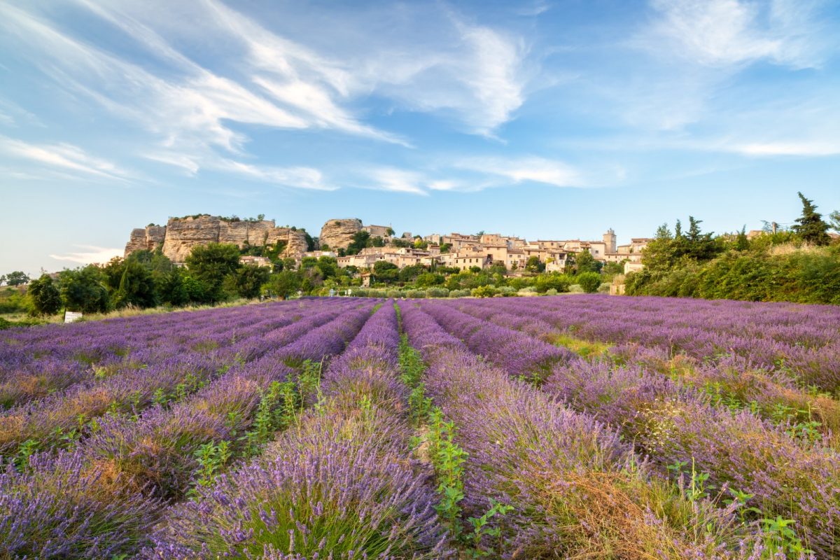 A lavender field with ancient village behind it