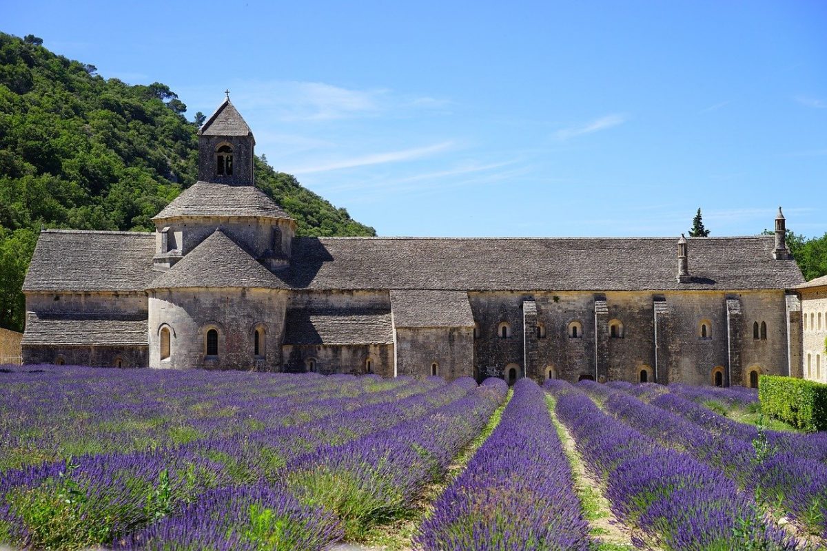 a lavender field in France with ancient monastery