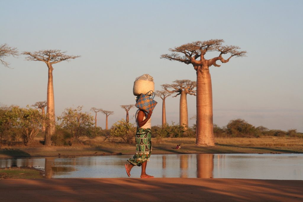 Madagascar Travel